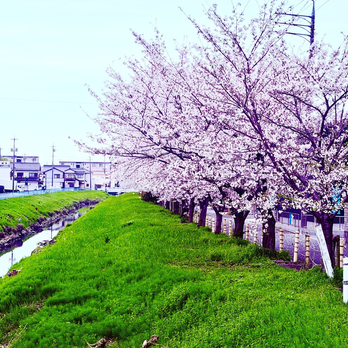 こんにちは、一宮市あずらにあるふくしま接骨院です🌸